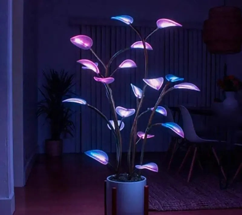 How to Use a Magic Plant Light for Indoor Plant Growth