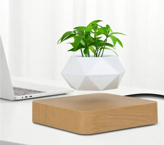 Potted plant home desk decor for modern interiors