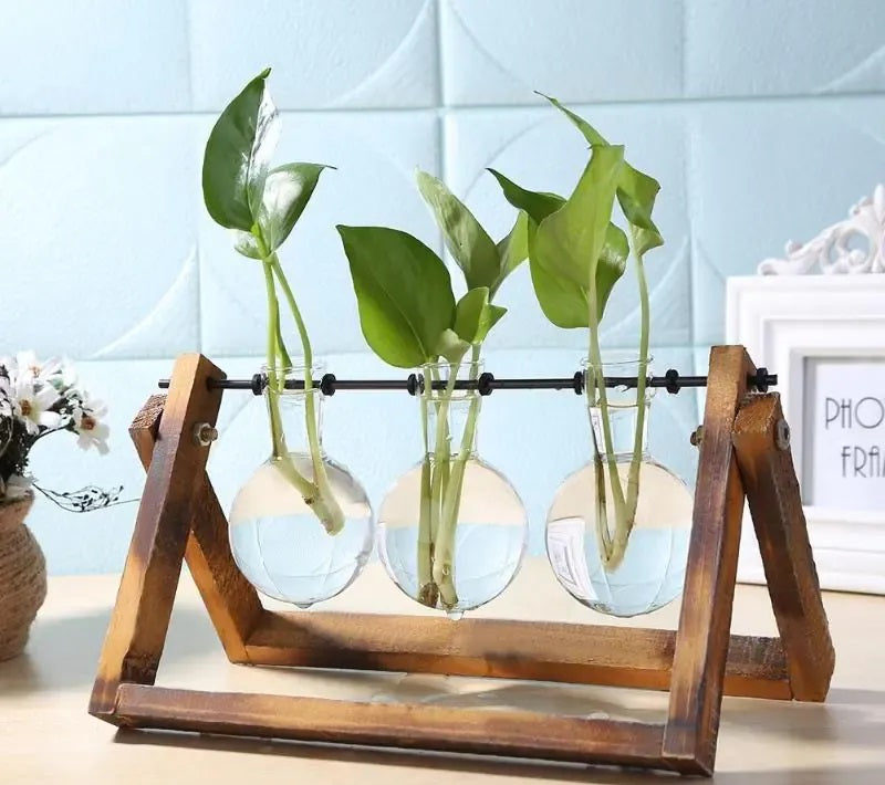 Elegant Glass and Wood Vase Planter for Desk and Table Decor