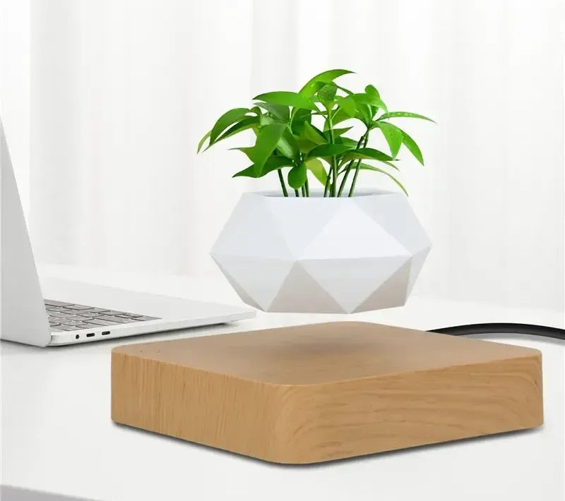 Potted plant home desk decor for modern interiors